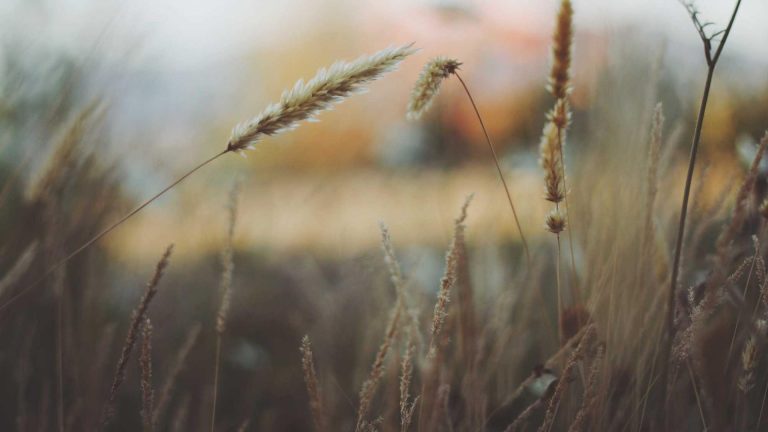 DeepSeek-V3: A Technical Analysis of China’s 671B Parameter Open-Source AI Model Challenging Industry Leaders