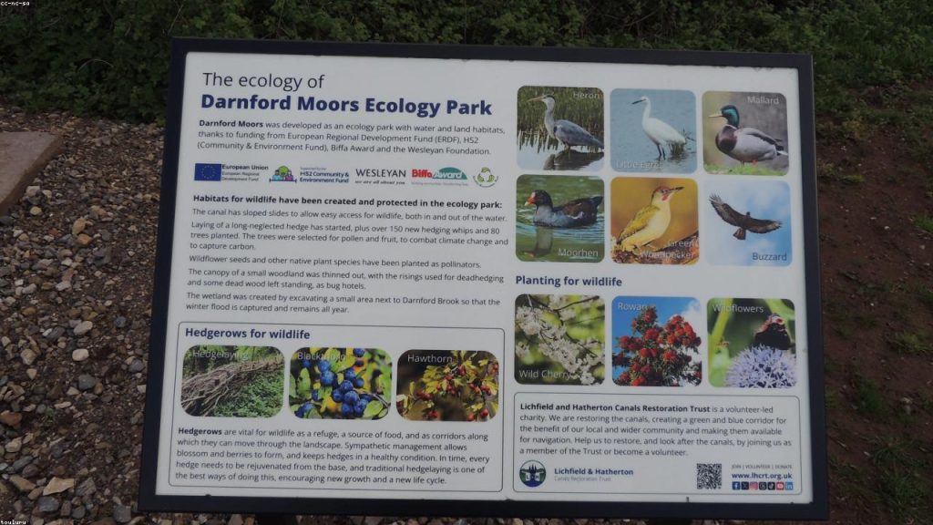 PGA Tour: Patrick Reed’s Return and What It Signals for 2026