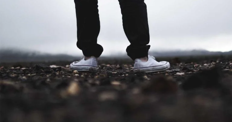 US Economic Policy 2026: How Tariffs, Tax Cuts, and Fed Rate Cuts Are Reshaping Markets