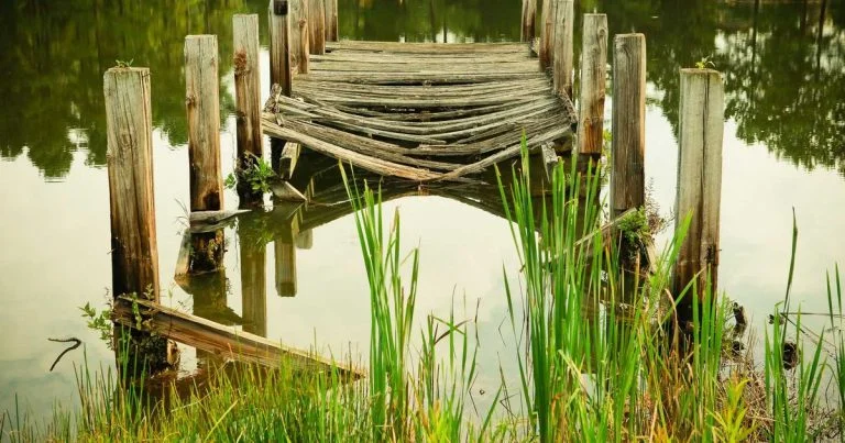 Philippine Food Price Dashboard: March 2026 Upgrade Changelog