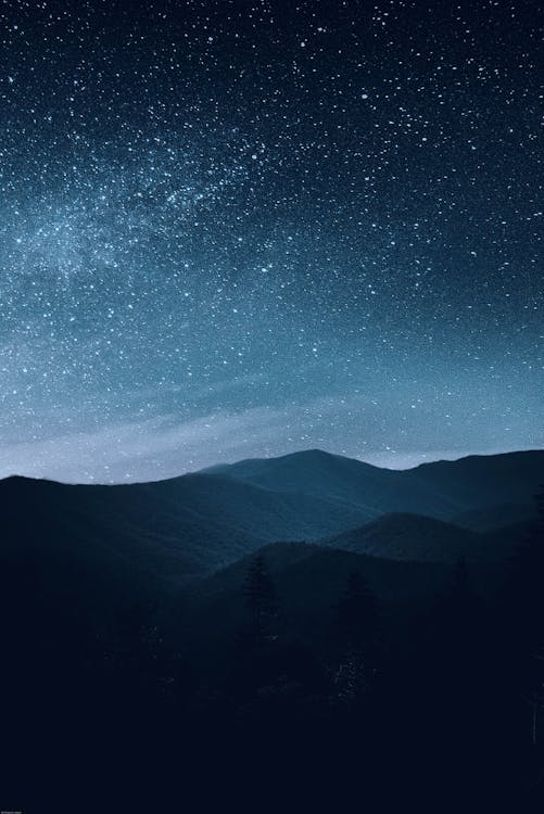 AI Coding Assistants: The Productivity Revolution and Enterprise Impact in 2026